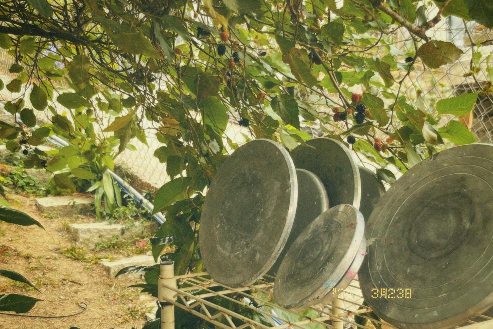 Đà Lạt TEEPEE Homestay Exterior foto