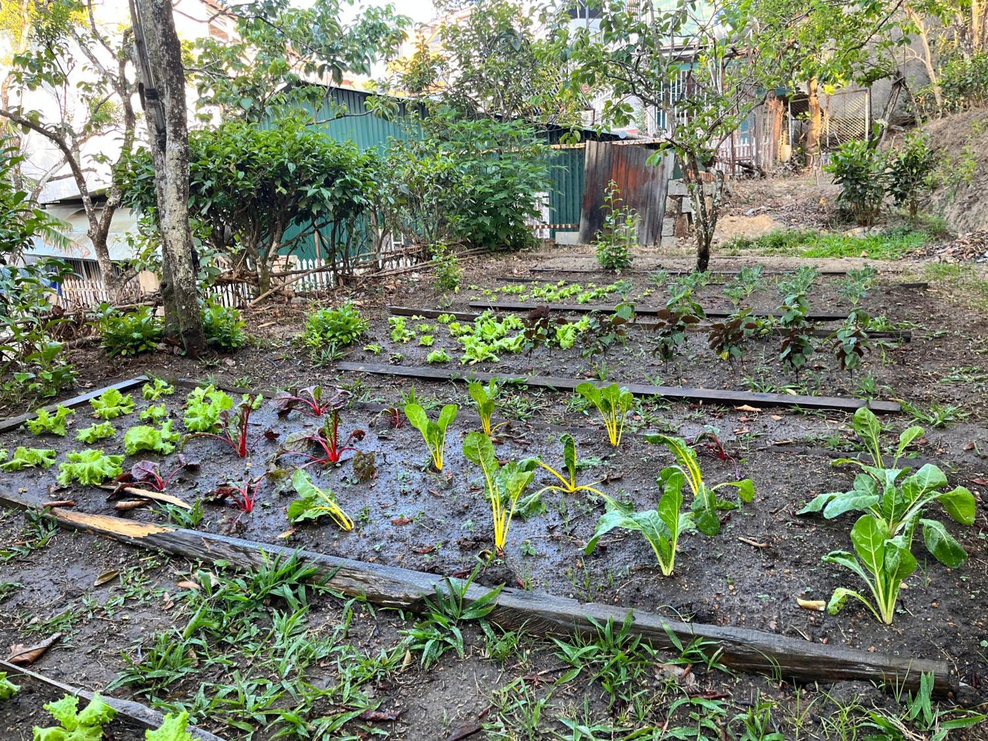 Đà Lạt TEEPEE Homestay Exterior foto